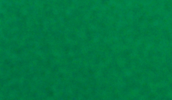 Foto 5. Licht-groen Evenemententapijt 2mtrbr x 40 Mtrs 80 m 