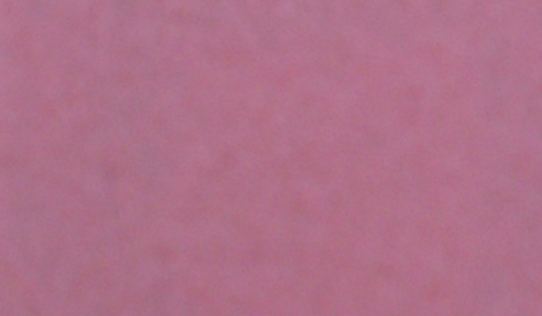 Foto Roze pastel beurstapijt Rainbow met film 2*40M