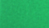 Foto Fel groen beurstapijt effen folie 2 x 40 mtrs 80m/rol